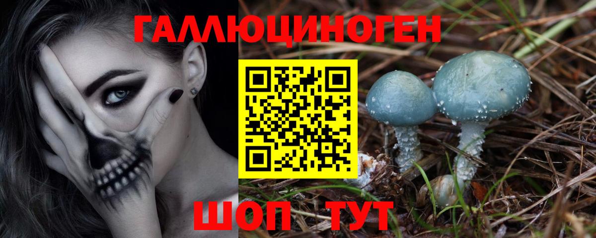 Галлюциногенные грибы Psilocybine cubensis  Галлюциногенные грибы прущие грибы  Вход с VPN  Тихорецк 